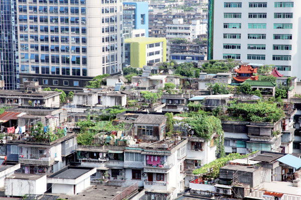 Beijing to cover roofs with greenery