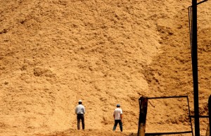PODCAST: Turning waste to energy in South Africa