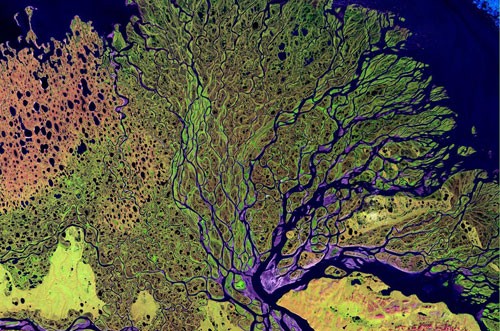 Arctic rivers add toxic mercury to the Arctic Ocean: new research