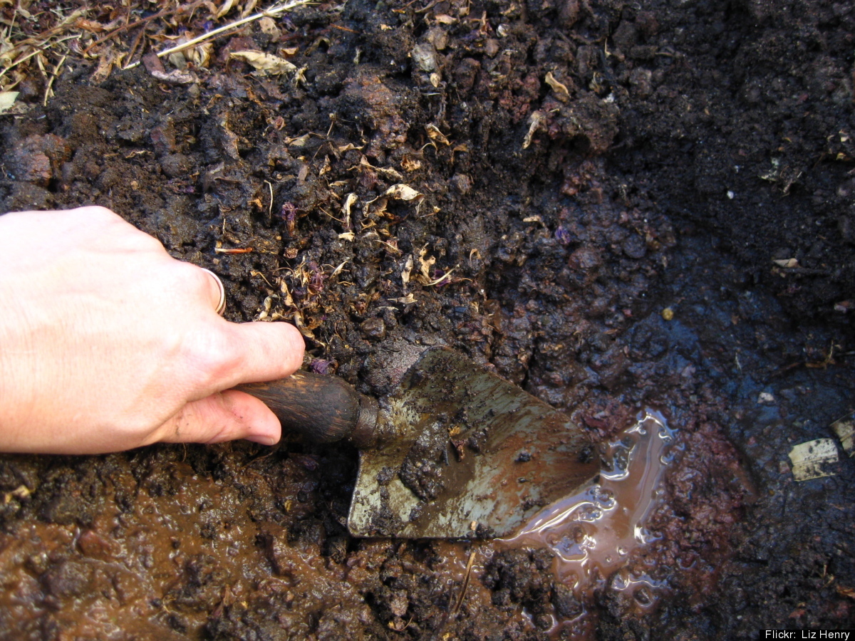 Successful Gardening Tips: Better Garden Ideas For Soil, Seeds And Pesticides