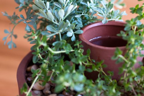 Lessons From The Past: Joey Roth Designs Planter Using 4,000 Year Old Tech