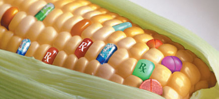 Top 10 GMO Foods to Avoid