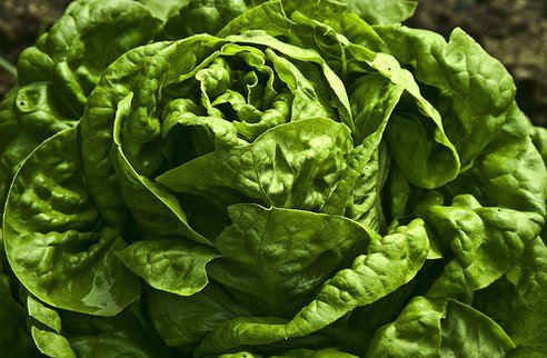 Brazilian City Offers Vegetables in Exchange for Trash