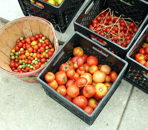 Can You Save Seeds From Farmers Market Tomatoes?