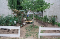 Saving Urban Gardens