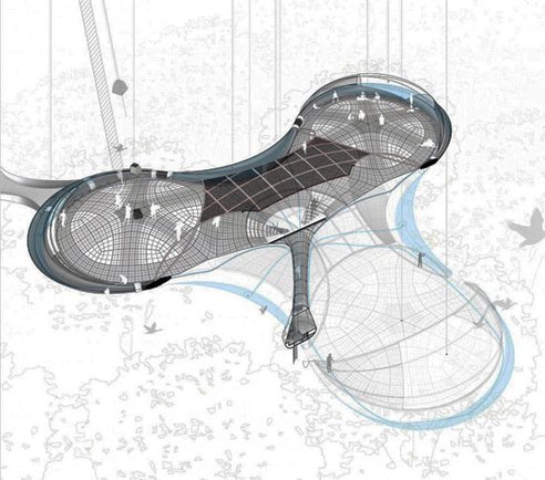 Could These Spider-Like, Human-Sized Webs Refine Rainforest Research?