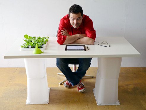 Build a Hydroponic Indoor Garden