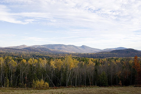 Exploring and Enjoying the East’s Last Great Forests