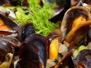 Why We May Be Able to Start Feeding Ourselves From Urban Waters Again