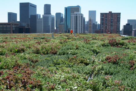 U.S. building is going green for profit, not for the climate