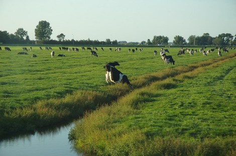Fracking threatens farms and food safety