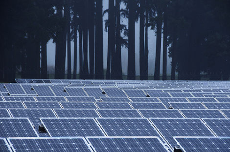 U.S. solar industry employment grew 13.2 percent last year