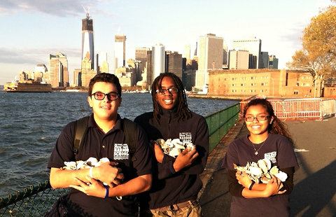 Students Press the Case for Oysters as New York’s Surge Protector