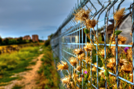 Prison in Illinois to be transformed into a Farming Paradise