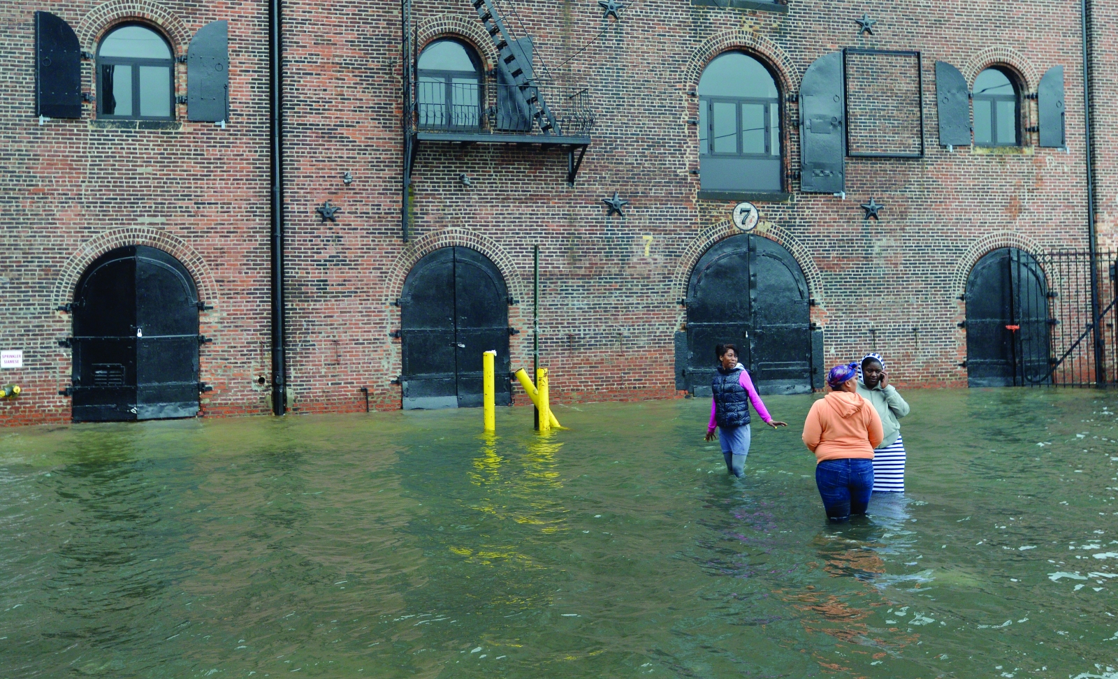 2016_BASF_RedHook_Hurricane Sandy_Whitepaper