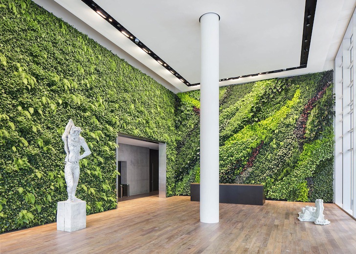 Foundry-Square-living-wall-by-Habitat-Horticulture-6